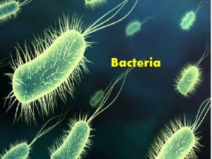 Bacteria Bacteria is Small single living organism prokaryote