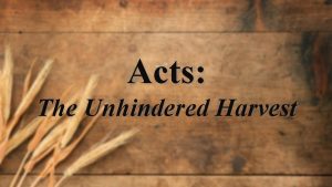 Acts The Unhindered Harvest What are you thankful