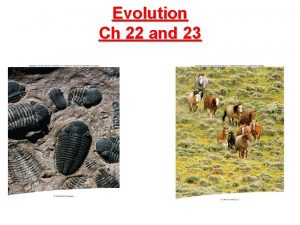 Evolution Ch 22 and 23 Evolution The process