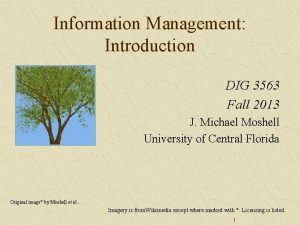 Information Management Introduction DIG 3563 Fall 2013 J