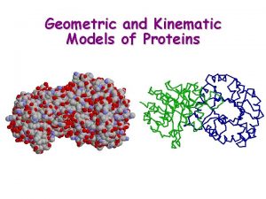 Geometric and Kinematic Models of Proteins What is