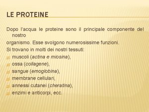 LE PROTEINE Dopo lacqua le proteine sono il