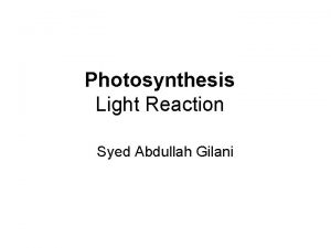 Photosynthesis Light Reaction Syed Abdullah Gilani Photosynthesis The