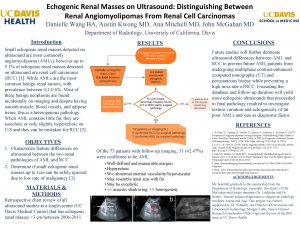Echogenic Renal Masses on Ultrasound Distinguishing Between Renal