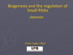 Biogenesis and the regulation of Small RNAs Genomics