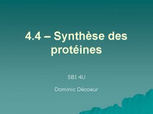 4 4 Synthse des protines SBI 4 U