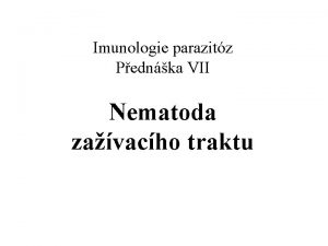 Imunologie parazitz Pednka VII Nematoda zavacho traktu Trichuris