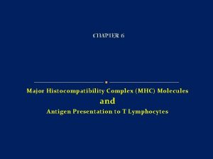 CHAPTER 6 Major Histocompatibility Complex MHC Molecules and