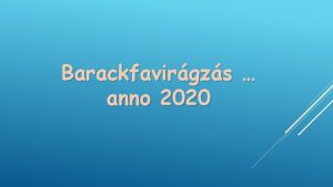 Barackfavirgzs anno 2020 BARACKFAVIRGZS VRUSVGVESZLYBEN csill vletlen szlaibl