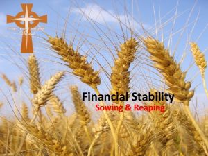 Financial Stability Sowing Reaping God Schedules Your Harvest