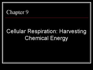 Chapter 9 Cellular Respiration Harvesting Chemical Energy Energy