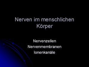 Nerven im menschlichen Krper Nervenzellen Nervenmembranen Ionenkanle Das