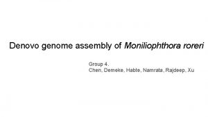 Denovo genome assembly of Moniliophthora roreri Group 4