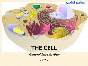 Principles of Cell Theory Cell is the basic
