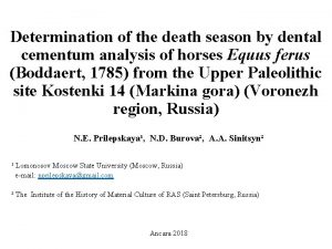 Determination of the death season by dental cementum