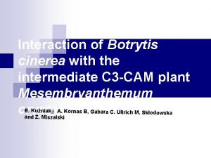 Interaction of Botrytis cinerea with the intermediate C