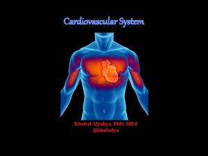 Cardiovascular System Khaleel Alyahya Ph D MEd khaleelya