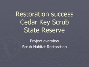 Restoration success Cedar Key Scrub State Reserve Project