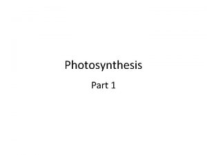 Photosynthesis Part 1 Electron Carriers Several molecules can