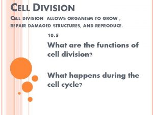 CELL DIVISION ALLOWS ORGANISM TO GROW REPAIR DAMAGED
