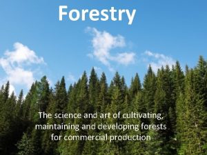 Forestry The science and art of cultivating maintaining