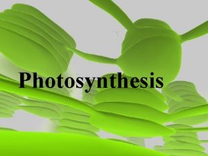 Photosynthesis Photosynthesis Process uses the suns energy to