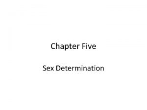 Chapter Five Sex Determination Acknowledgment Addis Ababa University