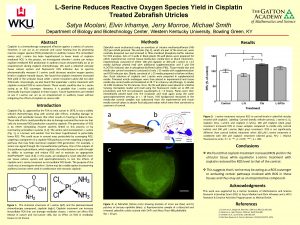LSerine Reduces Reactive Oxygen Species Yield in Cisplatin
