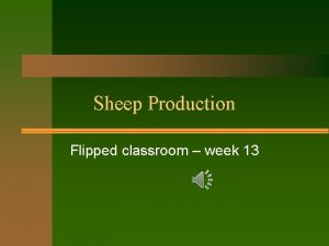 Sheep Production Flipped classroom week 13 Why choose