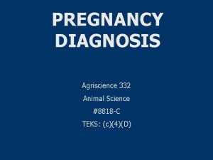 PREGNANCY DIAGNOSIS Agriscience 332 Animal Science 8818 C