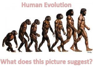 Human Evolution What does this picture suggest What