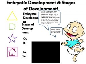 Embryotic Development Stages of Development Embryotic Developme nt