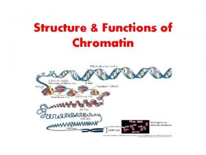 Structure Functions of Chromatin Introduction Genetic material DNA