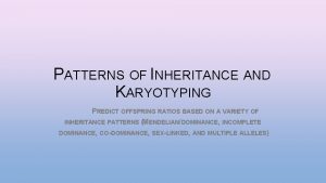 PATTERNS OF INHERITANCE AND KARYOTYPING PREDICT OFFSPRING RATIOS