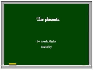 The placenta Dr Areefa Albahri Midwifery Introduction The