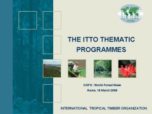 THE ITTO THEMATIC PROGRAMMES COFO World Forest Week