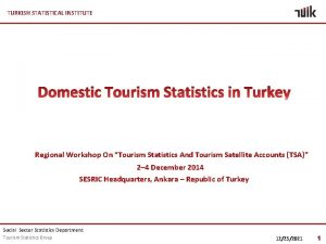 TURKISH STATISTICAL INSTITUTE Regional Workshop On Tourism Statistics