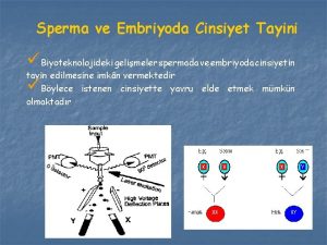 Sperma ve Embriyoda Cinsiyet Tayini Biyoteknolojideki gelimeler spermada