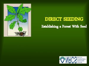 DIRECT SEEDING Establishing a Forest With Seed BENEFITS