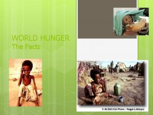 WORLD HUNGER The Facts WORLD HUNGER FACTS More