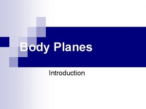 Body Planes Introduction Orientation and Directional Terms Orientation
