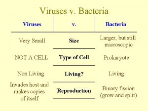 Viruses v Bacteria Viruses v Bacteria Very Small