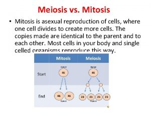 Meiosis vs Mitosis Mitosis is asexual reproduction of