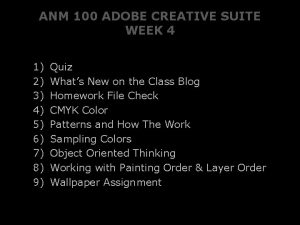 ANM 100 ADOBE CREATIVE SUITE WEEK 4 1