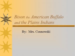 Bison the American Buffalo and the Plains Indians