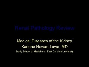 Renal Pathology Review Medical Diseases of the Kidney
