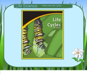 Plants and Life Cycles Plants and Life Cycles