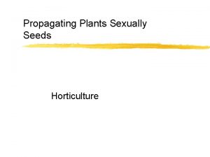 Propagating Plants Sexually Seeds Horticulture Interest Approach z