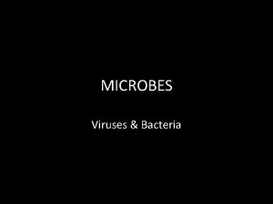 MICROBES Viruses Bacteria VIRUSES A General Characteristics of