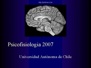 http psikoua cl nu Psicofisiologia 2007 Universidad Autnoma